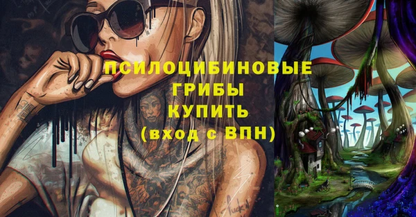 молекула духа Алексеевка